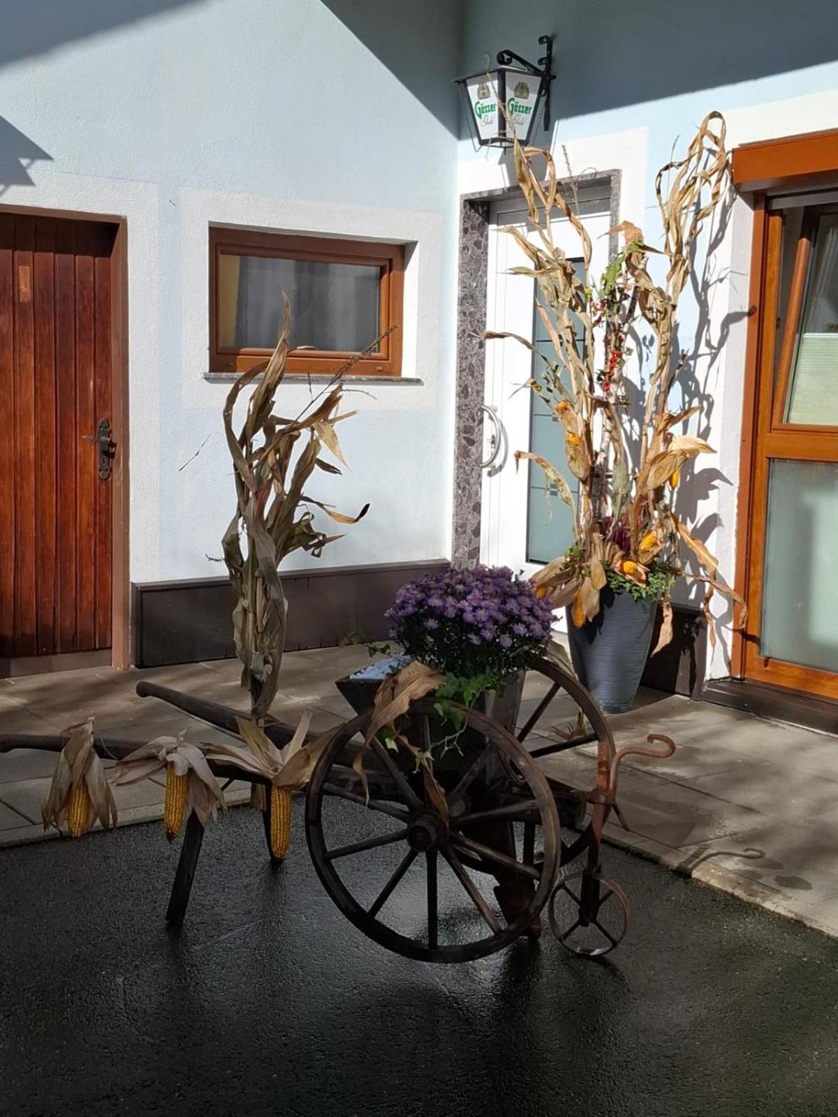 Wies Ferienwohnung Heiabett מראה חיצוני תמונה